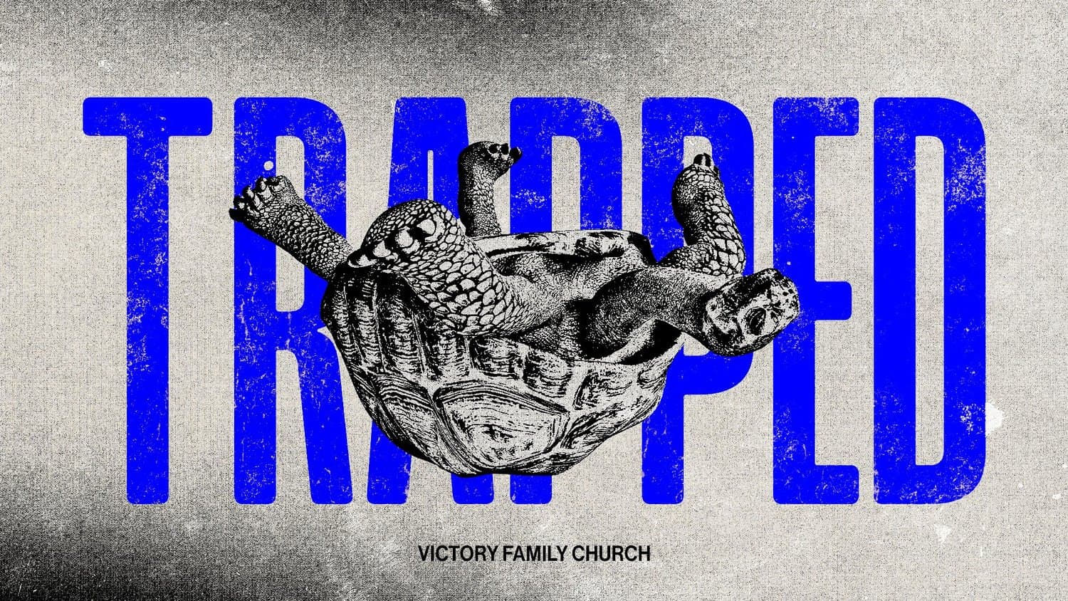 A grey textured sermon title slide reading TRAPPED in blue capitals behind an engraving of a tortoise on its back, with VICTORY FAMILY CHURCH beneath.