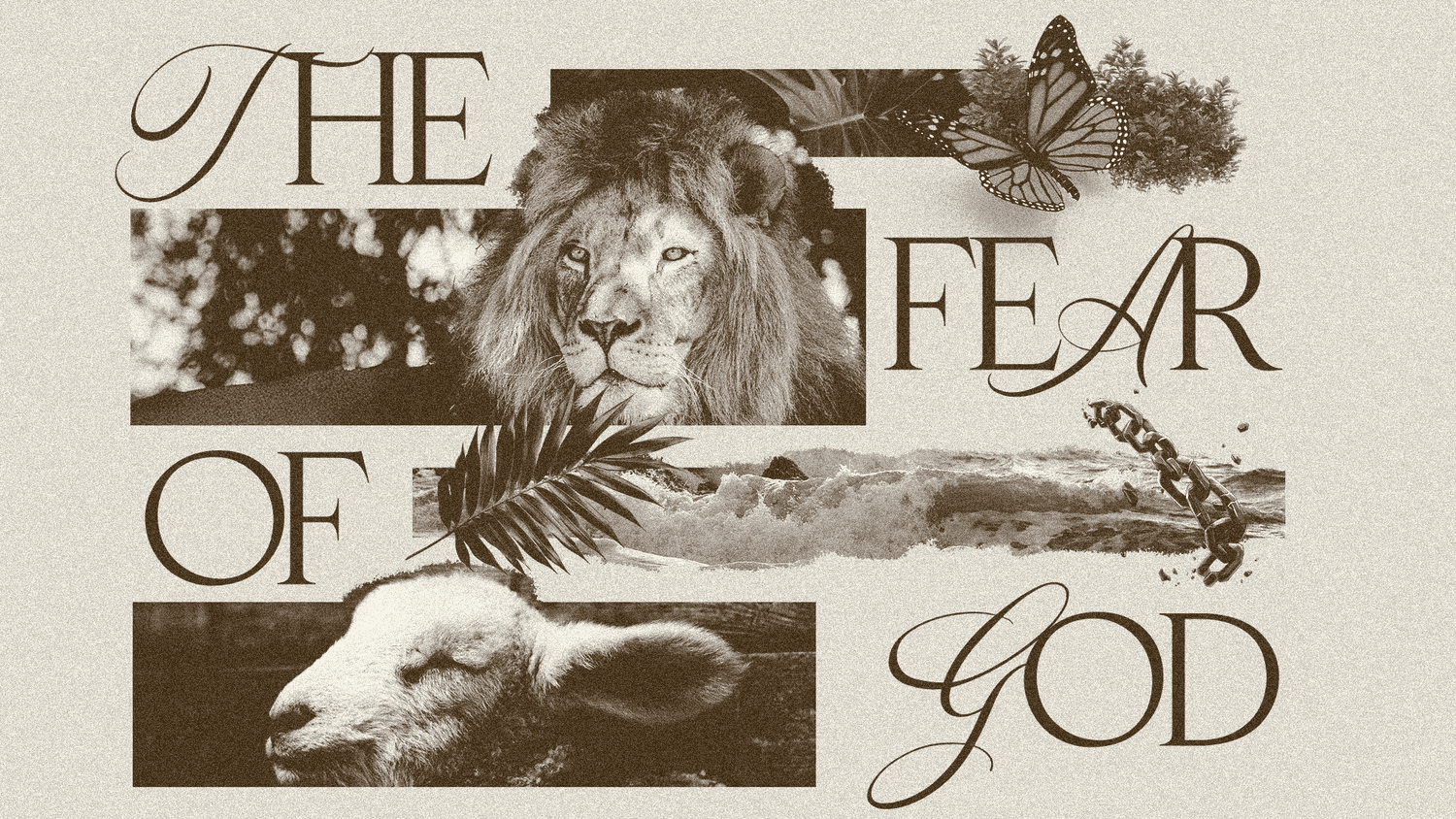 A sepia collage sermon slide reading THE FEAR OF GOD in a brown serif, layered with cut photographs of a lion, a lamb, a palm frond, waves and a chain.