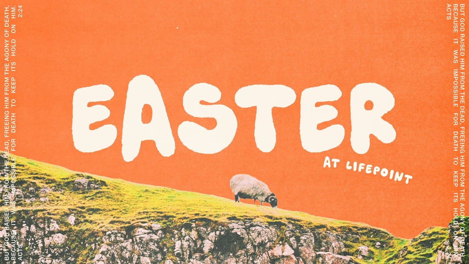 A bright orange Easter title slide with EASTER in chunky cream hand lettering and AT LIFEPOINT beneath, over a photo of a sheep grazing on a rocky hillside, edged with Acts 2:24 in tiny type.