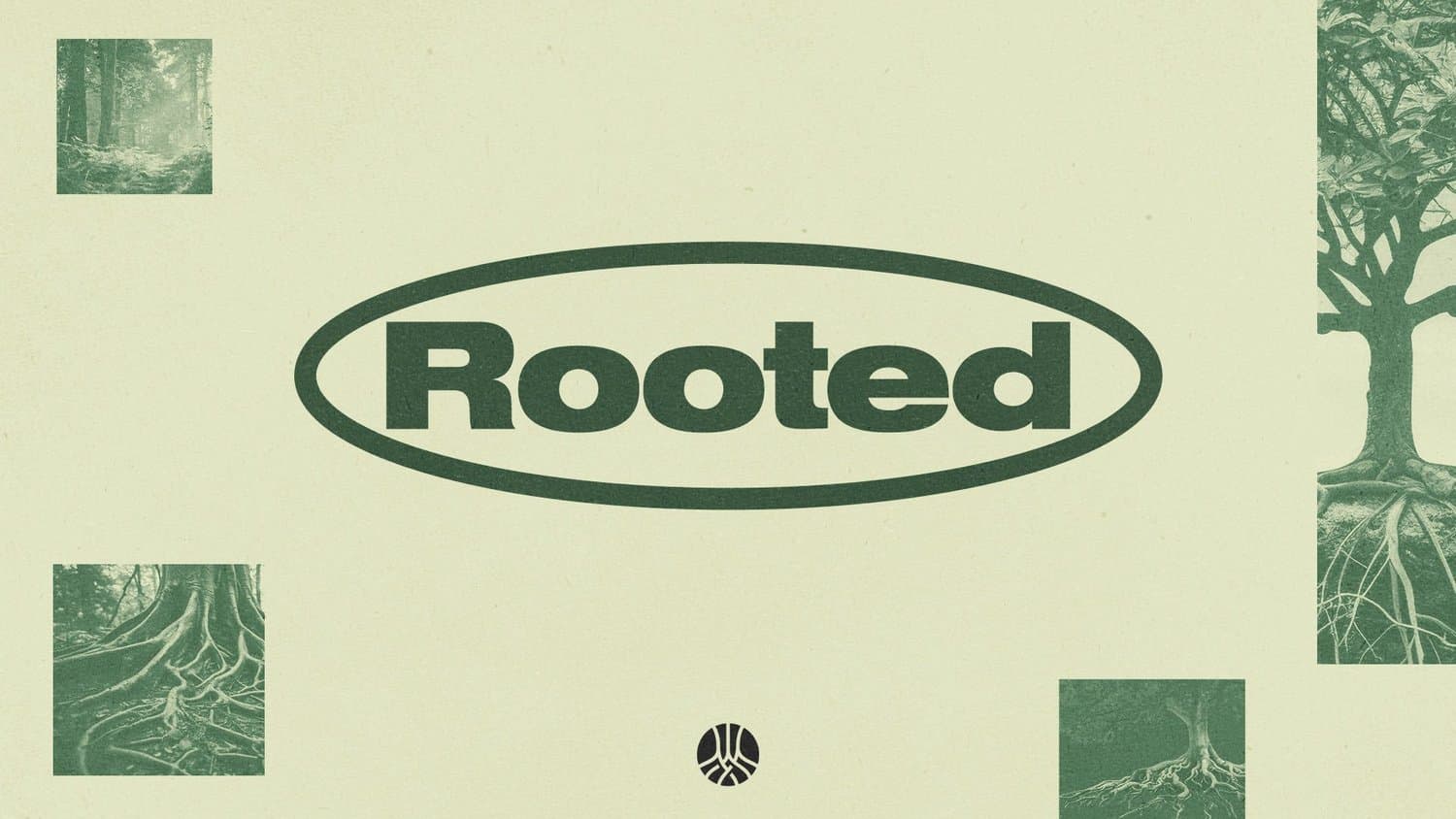 A pale green sermon slide with Rooted in dark green inside an oval outline, cornered by duotone photographs of trees and exposed roots.