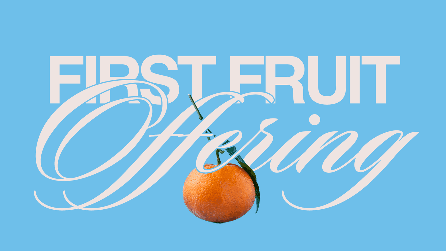 A sermon title slide reading FIRST FRUIT OFFERING in white cursive script with real orange fruit on light blue background.