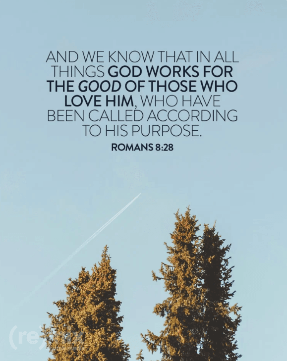 A scripture post over a photograph of pine treetops against pale blue sky with a jet contrail, carrying Romans 8:28 in dark grey capitals across the upper half.
