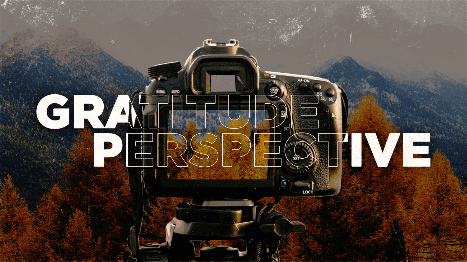 A Thanksgiving series slide reading GRATITUDE PERSPECTIVE in white capitals, over a photo of a DSLR camera on a tripod facing autumn larch trees and mountains.