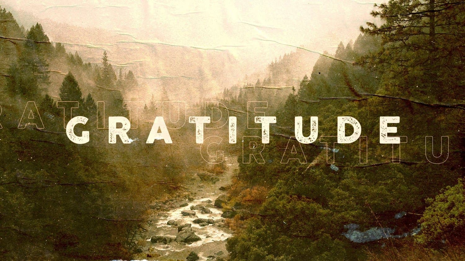 A Thanksgiving series slide reading GRATITUDE in cream stencil capitals with ghosted repeats, over a misty photograph of a pine forest valley and river.