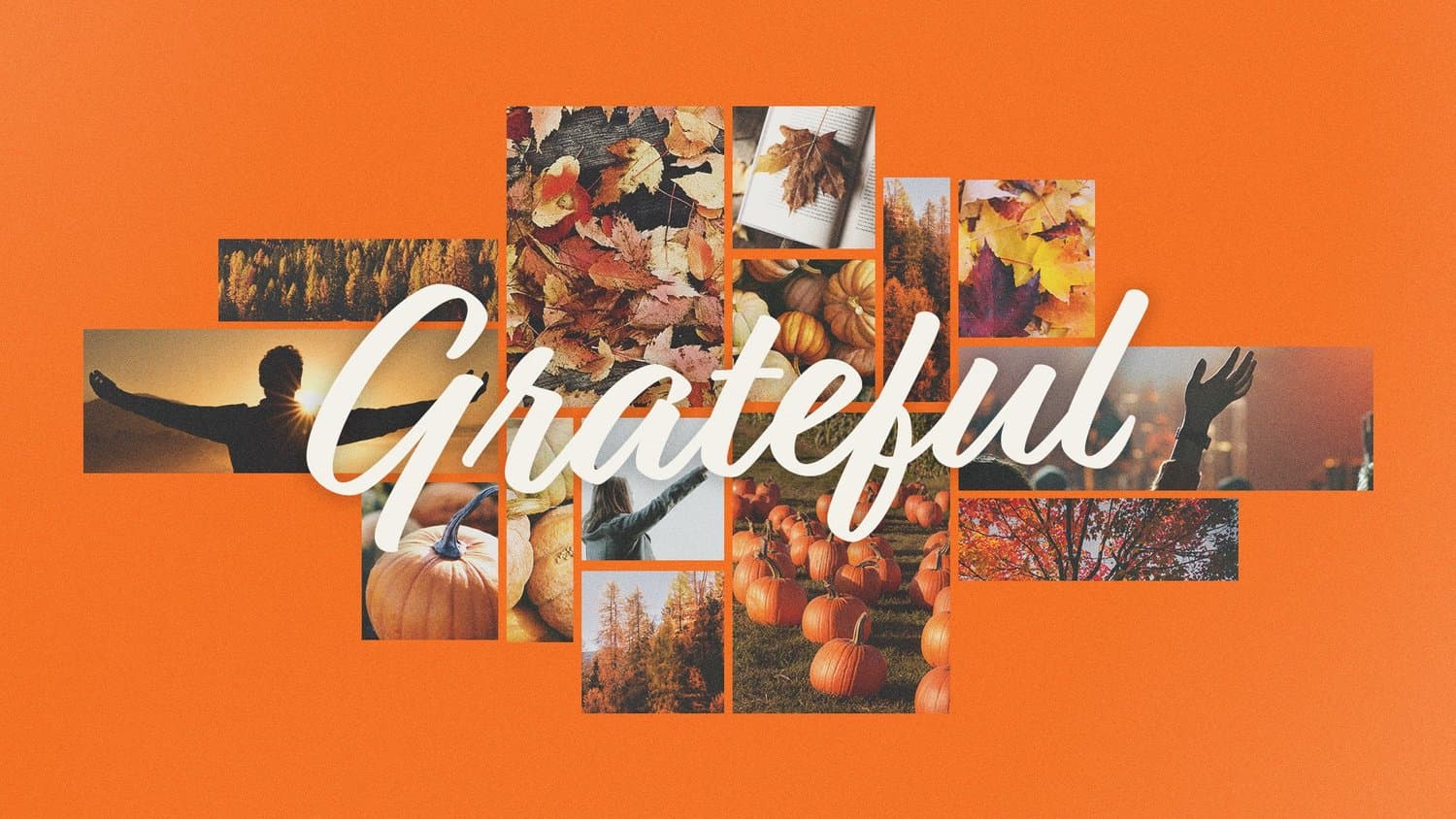 An orange Thanksgiving slide reading Grateful in white script across a collage of autumn photographs including pumpkin patches, fallen leaves and raised hands.