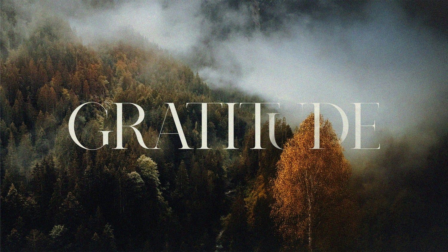 A Thanksgiving slide reading GRATITUDE in thin white serif capitals, over a moody photograph of fog rolling across an autumn hillside of orange and green trees.