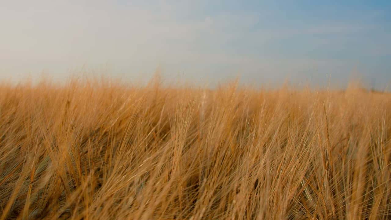 Countryside Christian Church — Get Grace - Bumper Video