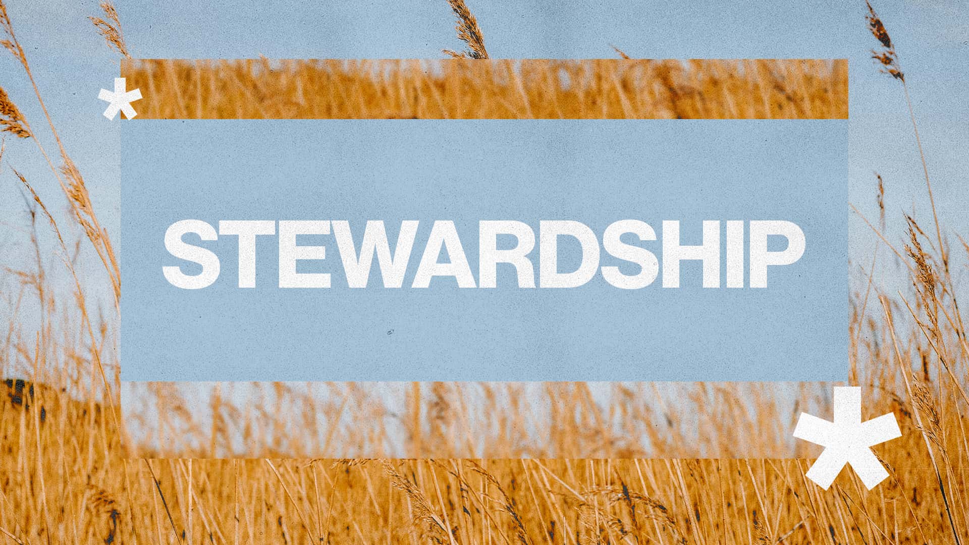 Stewardship, church sermon series design work