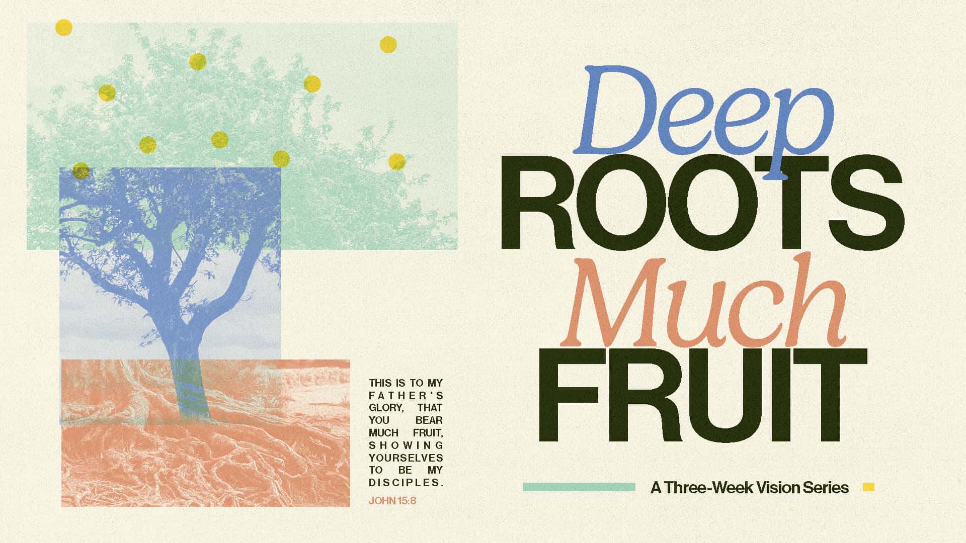 Deep Roots Much Fruit Vision Series Sermon Series, church design work for Bayside Community Church