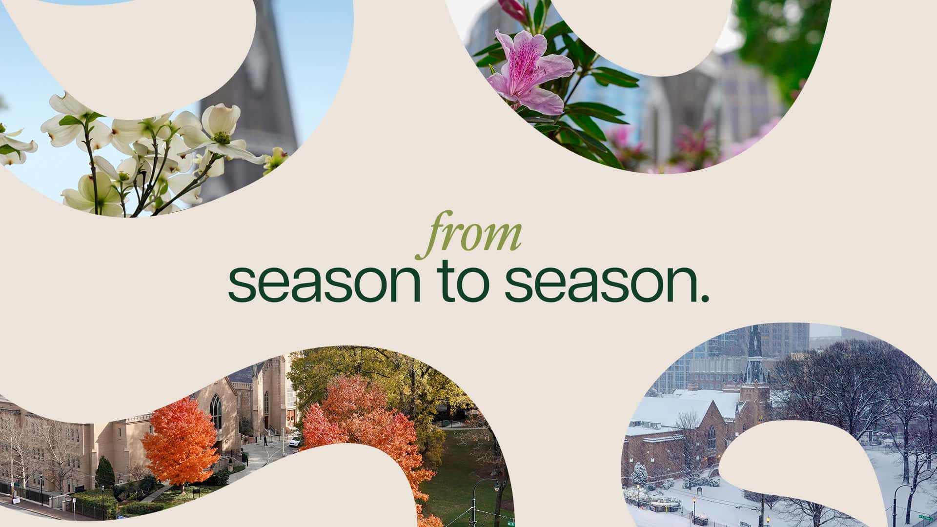 First Presbyterian Church of Charlotte — Social Media Carousel Templates