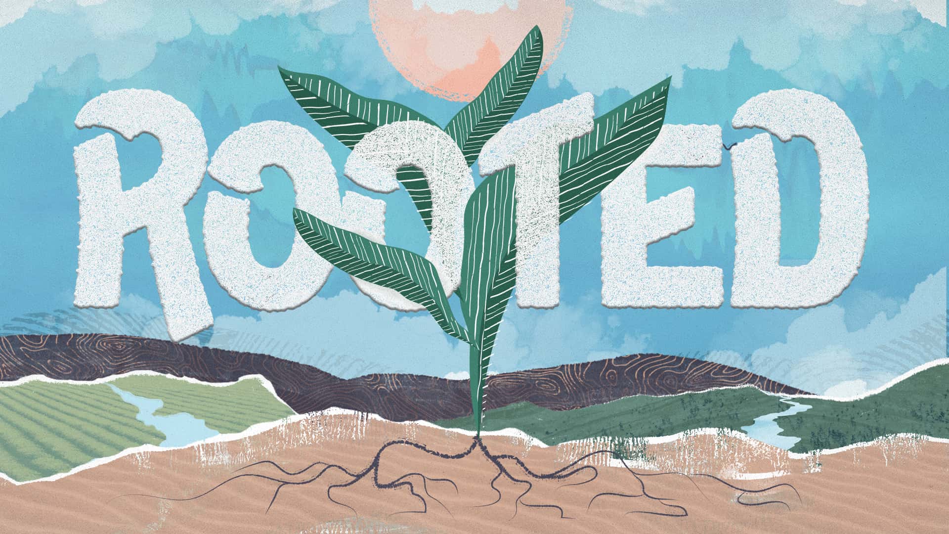 Rooted Sermon Design, church design work for Zero Collective