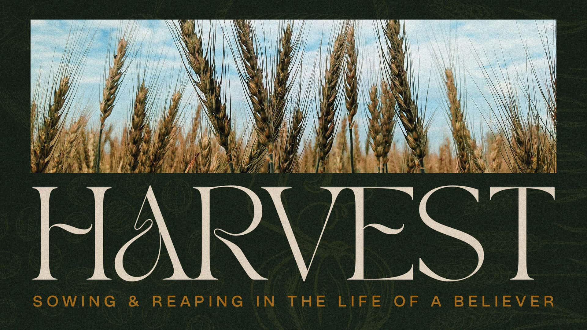 Harvest Sermon Design, church design work for Evangel Christian Churches