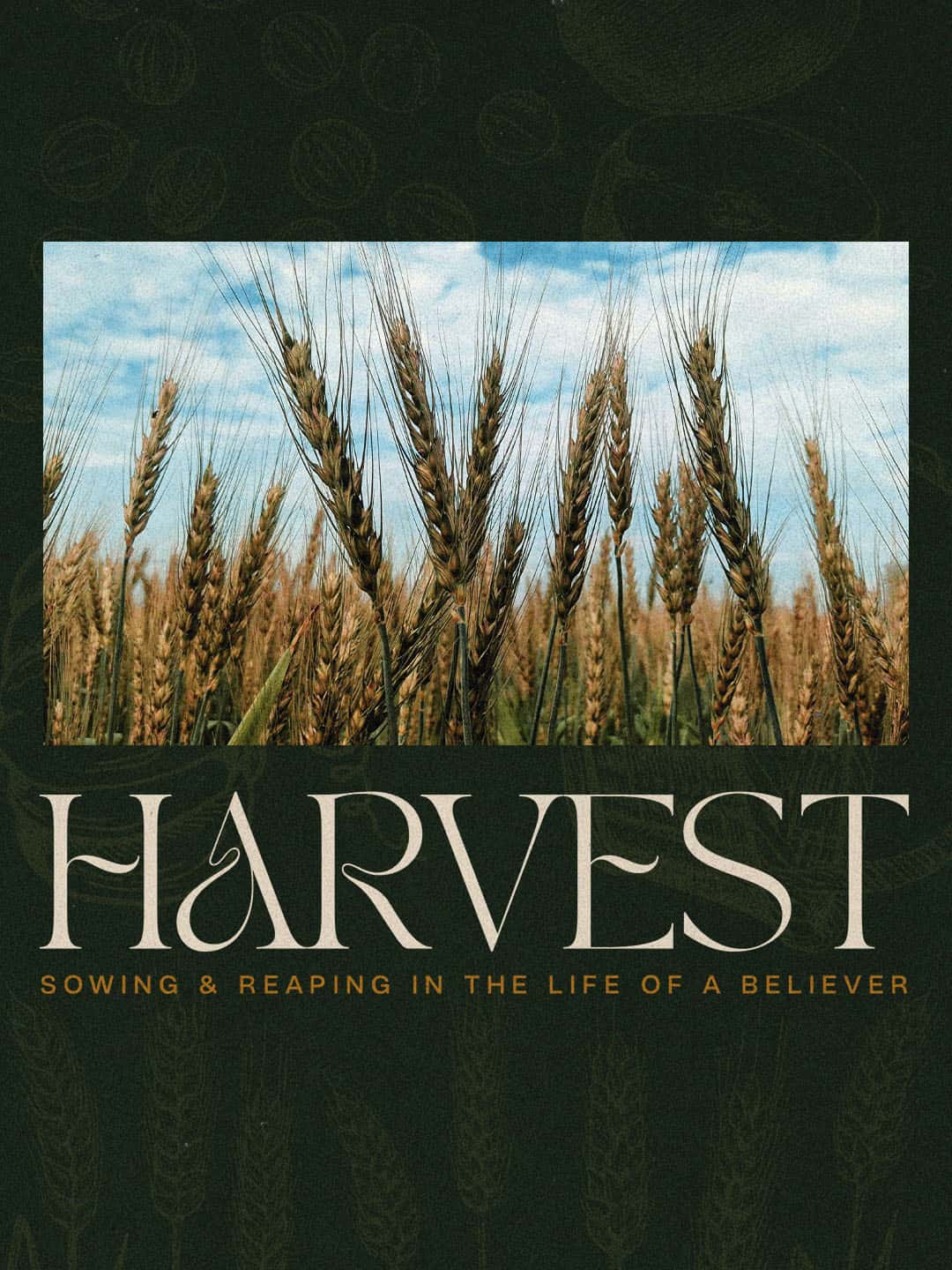 Harvest Sermon Design, church design work for Evangel Christian Churches
