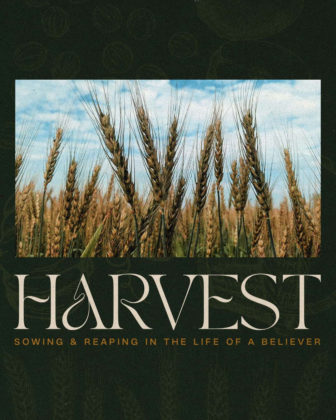 Harvest Sermon Design, church design work for Evangel Christian Churches