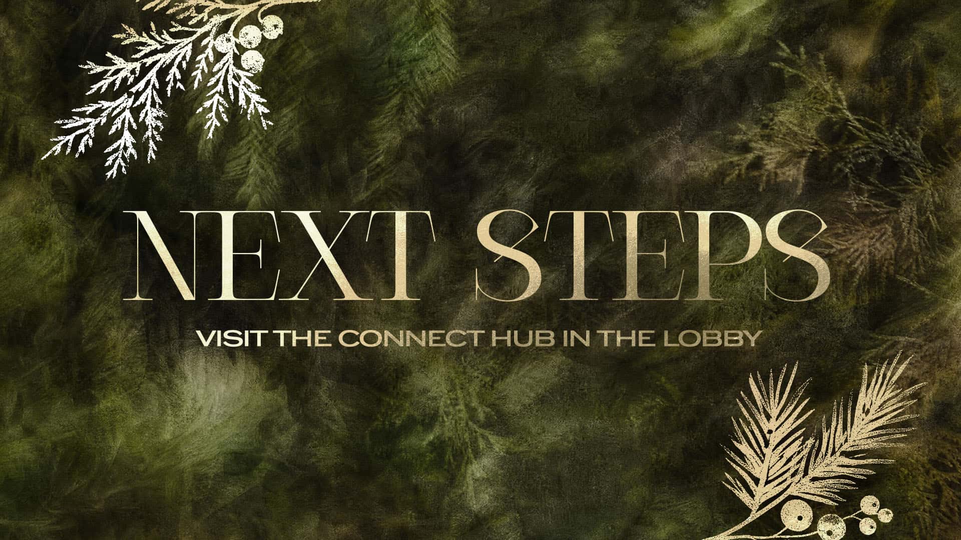 SL0437 Christmas Forest Textures Slides, church design work for Story Loop