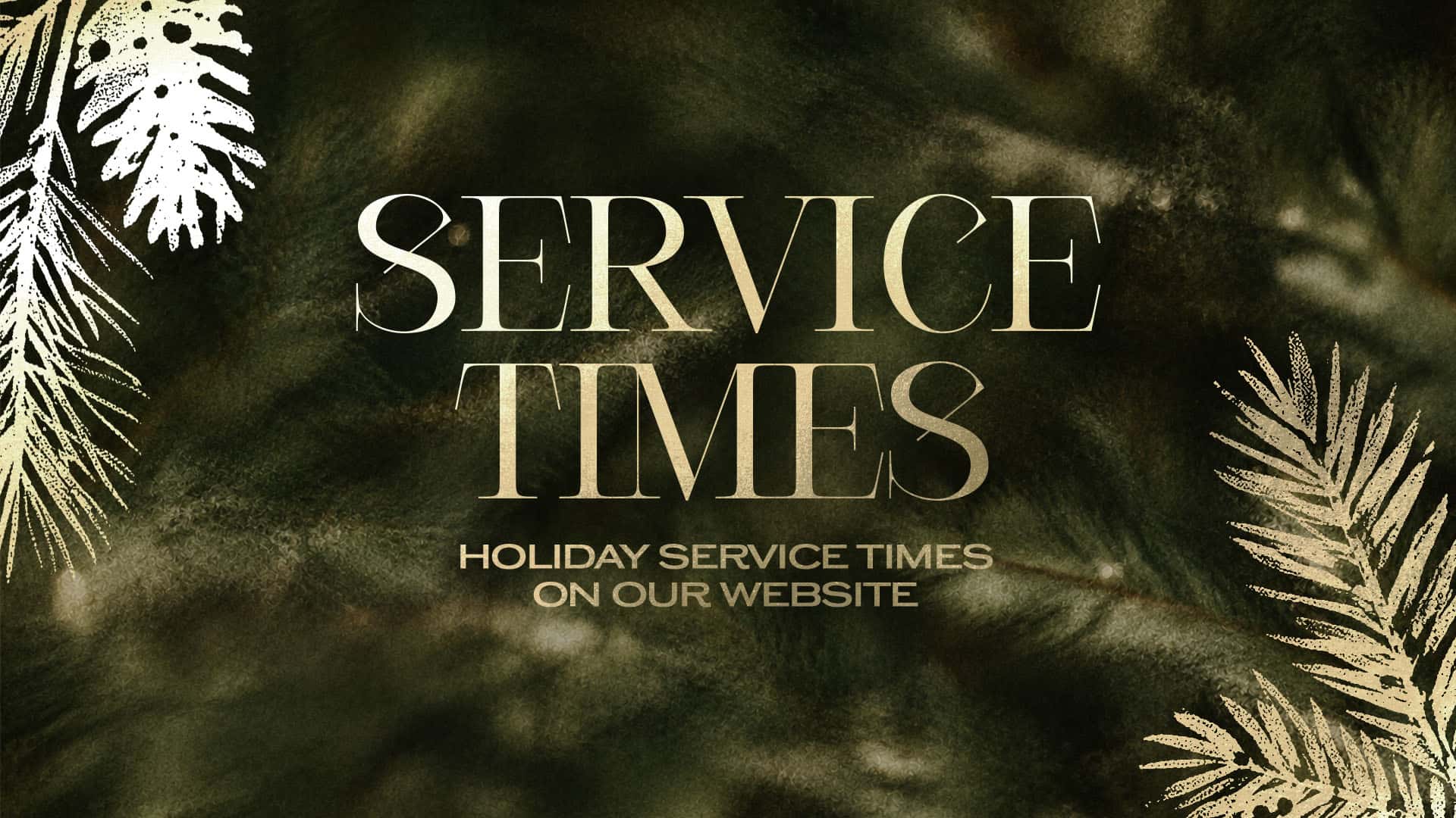 SL0437 Christmas Forest Textures Slides, church design work for Story Loop